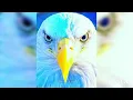 Download Lagu Solitario - Leave Me Alone - \u0026 - Valerie Star - Loving You - (Italo Disco Tracks) - 😌☕🙏🏻☕😌