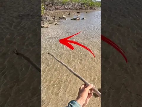 Island Survival with Traditional Hand Spear 🔱