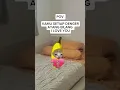 Download Lagu DAG DIG DUG #cat #catmeme #kucing #meme #pov #shortvideo #shorts #cingkucinglucu