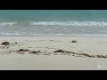 10 minutes Bahamas Ocean Waves Relaxation sounds