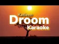 Download Lagu Droom karaoke|k3hart