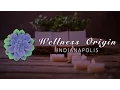Wellness Origin Indianapolis - Organic Day Spa and Wellness Center in Carmel Indiana