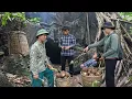 Download Lagu Full video: Tran Cong was left in the forest and lived alone in the wilderness, Rebuilding life
