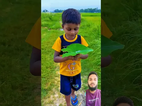 #edit