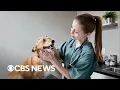 Is pet insurance worth it