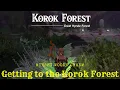 How to get to Korok Forest from the Minshi Woods Chasm Depths