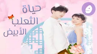 مسلسل الصيني حياة الثعلب الأبيض ح 9 The Life Of The White Fox  مسلسل الصيني حياة الثعلب الأبيض ح 9 The Life Of The White Fox