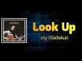 Joy Oladokun - look up (Lyrics)