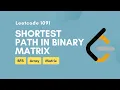 Shortest Path in Binary Matrix Leetcode 1091 BFS Array Matrix Medium