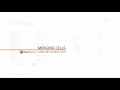 ASP NET Grid - Cell Merging