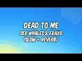 Download Lagu Whales \u0026 Fraxo - Dead To Me (Slow + Reverb) Lyrics