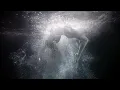 Omnia - Fall Into You (Official Video)