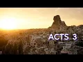 ACTS 3 NIV BIBLE