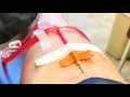 What Does It Feel Like to Donate Plasma Answering Frequently Asked Questions About Donating Plasma