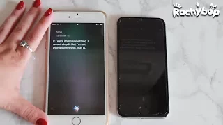 Siri Talks To Siri IOS 10 Vs IOS 11 Rachybop 