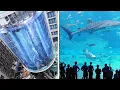 15 Largest Aquariums in the World