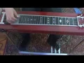 Kacey Musgraves - Are You Sure ft. Willie Nelson (pedal steel intro)