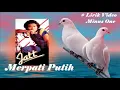 Download Lagu Jatt ~Merpati Putih  minus1