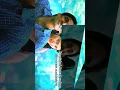 Download Lagu Idhazhin oru oram💗#3movie #dhanush #viralvideo