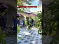 Download Lagu My Mom weapon 🤣😂 #subscribe #youtube #motorcycle #bikerider #ktm #ktmlover #bike #funny #shorts