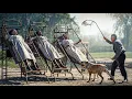 Download Lagu Inside The Most Horrific Slavery Breeding Farms of Cotton Plantations