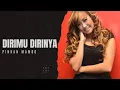 Download Lagu PINKAN MAMBO - DIRIMU DIRINYA