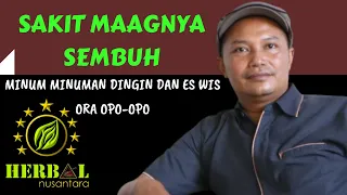 sakit maag terbantu sembuh lantaran rokok herbal nusantara 