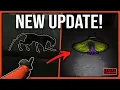 The v80 Update Guide