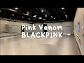 Download Lagu Pink Venom - BLACKPINK [empty dance studio version]