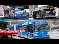 NYCT Bus Bx36 Bus Action at West Farms Square 2025 New Flyer XD60 2012 C40LF 2019 Novabus LFS