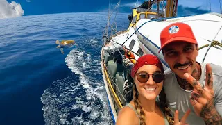 Sailing with Sea Turtles in Mexico⛵️🐢 “WHY are there so many?” | Sailing Sitka Ep 75