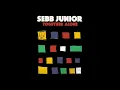 Sebb Junior feat. Muhsinah - Special