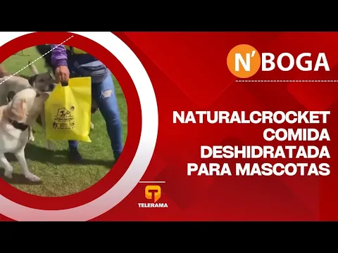 Naturalcrocket Comida deshidratada para mascotas