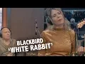 Download Lagu Blackbird - 'White Rabbit' (Jefferson Airplane) Live @ Ekdom In De Ochtend