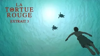 LA TORTUE ROUGE - Extrait 3 - Un film de Michael Dudok de Wit