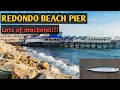 Redondo beach pier fishing Lots of mackerel