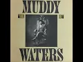 Muddy Waters I'm A King Bee