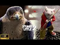 Lagu Stuart Fights Falcon to Save Margalo | Stuart Little 2 (2002)