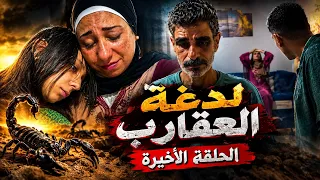 لما تربي عقارب اول مكافأه ليك لدغه تضيع عمرك   مسلسلات  اكسبلور دندنها