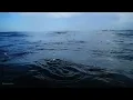 Ocean Waves With Rain | NO ADS | Ocean & Rain Sounds For Sleeping 🌊🌧