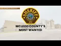 McLeod County s Most Wanted October 16th 2024