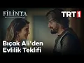 Download Lagu Filinta 27. Bölüm - Bıçak Ali'den Evlilik Teklifi