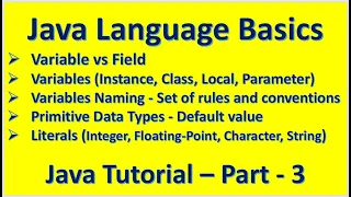 Java Language Basics - Variable vs Field Primitive Data Types Java Tutorial