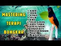Download Lagu 🔴 KOMBINASI MASTERING MURAI BATU TROTOL GACOR