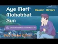 Download Lagu Aye Meri Mohabbat Sun Main Ye Mashwara Doonga | Slowed And Reverb | Mohd Aziz | @vikasdhakadofficial