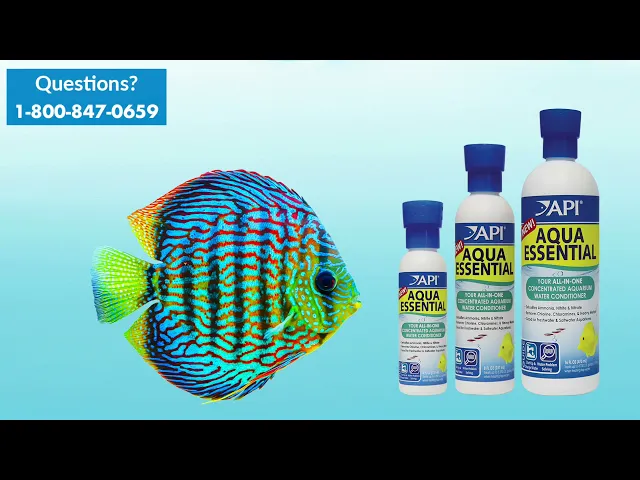 API Aqua Essential