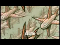 The Mathematical Art Of M C Escher