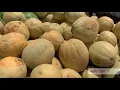 Halifax County Agricultural Closeup