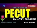 Download Lagu KARAOKE DANGDUT || PECUT || ELVY SUKAESIH || NADA WANITA @Jonsmusic