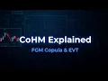 Conditional Higher Moment Risk Measure Explained CoHM FGM Copula Extreme Value Theory